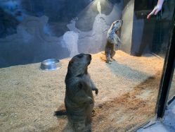 -酷嗒动物文化乐园(cutezoo西溪乐天城店)