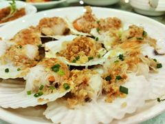 蒜茸粉丝扇贝王-江南村酒家