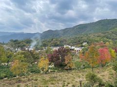 -塔川景区