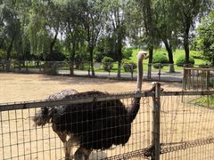 -祥源·阜阳生态乐园