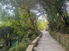 -塔川景区