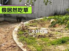 -上方山森林动物世界