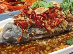 -杨氏青龙虾·羊蝎子(金盛路总店)