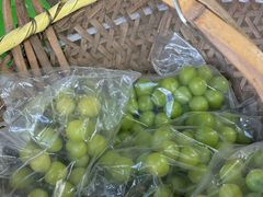 -马陆小张葡萄园农家乐