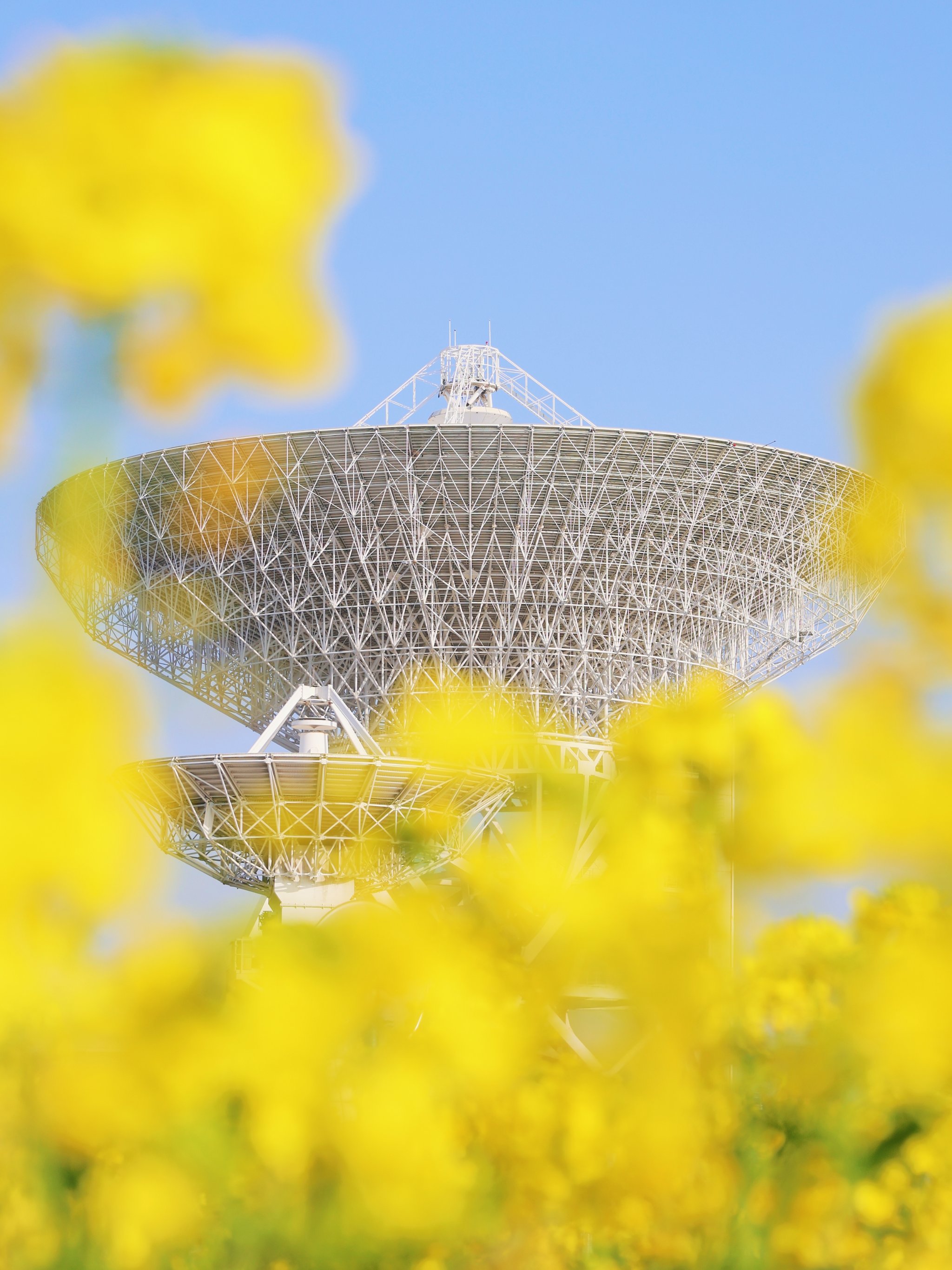 红岸基地壁纸图片