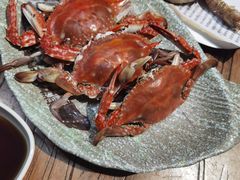 -和源祥·日照菜扛把子(万平口一店)