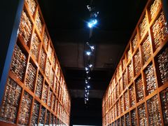 -青海藏文化博物院