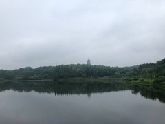 -宜兴龙背山森林公园
