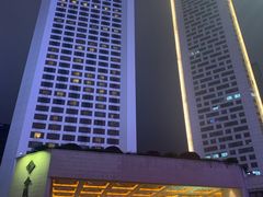 -南京金陵饭店