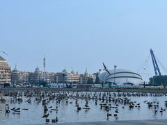 -星海广场