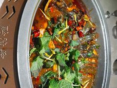 -黔渔翁豆花渎鱼(喷水池店)