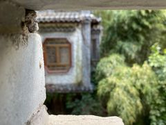 -老张烤羊(王哥庄店)