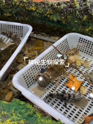 -钓虾工场·钓虾·赶海(回龙观店)