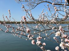 -颐和园