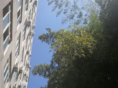 -湖北美术学院(昙华林校区)