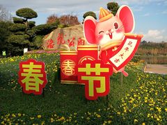 -洛龙公园
