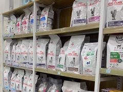 -瑞鹏宠物医院华南总院·夜诊·心脏科·骨科