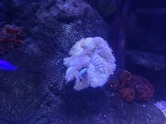 -沈阳海洋探索中心