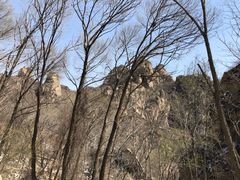 -大岭沟猕猴桃谷风景区