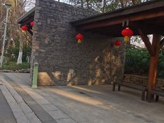 -青枫公园
