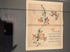 -四川大学博物馆