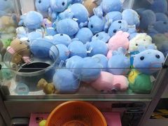 -大玩家(金牛万达店)