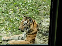 -北京野生动物园