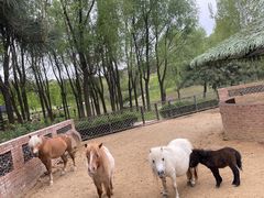 -沈阳森林动物园