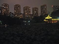 -龙头寺公园