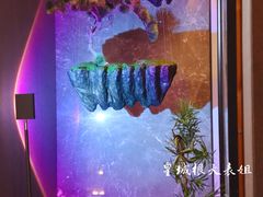 -香港狮子山下·明星粤菜餐厅(北苑店)