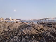 -星海湾跨海大桥