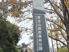 -青龙山国家森林公园