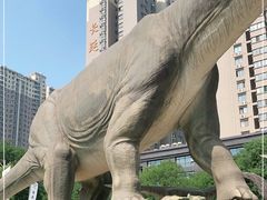 -陕西自然博物馆