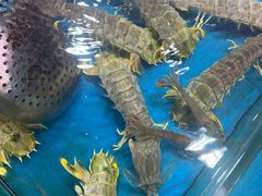 -粤盛海鲜平价店(洛溪食街店)