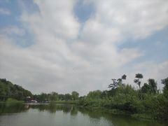 -南湖湿地公园