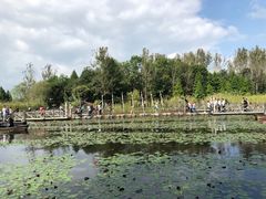 -溱湖国家湿地公园