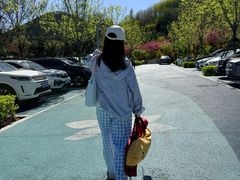 -佛慧山