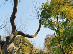 -雨湖公园