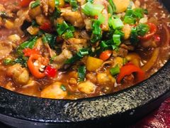 石锅牛蛙-又一福烤鸭·北京菜(东四店)