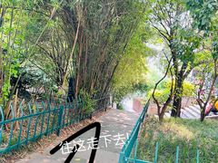 -素清香(解放路店)
