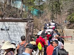 -明堂山风景区