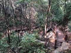 -大岭沟猕猴桃谷风景区