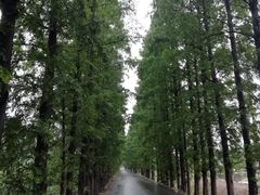 -南北湖湖光山居度假酒店