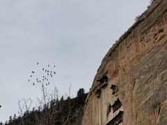 -焦大头牛肉小饭(南关店)