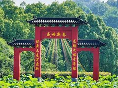 -南山植物园