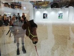 -万达茂商场(南京仙林店)