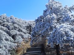 -黄山风景区