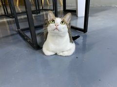 -蓝天射箭馆·专业射箭运动(诚丰广场店)