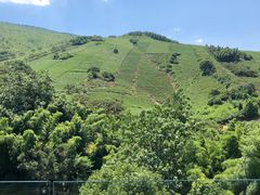 -天目湖御水温泉·度假酒店