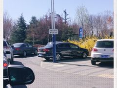 -大兴滨河森林公园